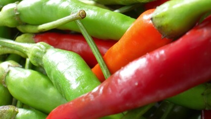 Experience the artistic allure of colorful chili peppers in macro. Marvel at the graceful curves, rich hues, and mesmerizing patterns that make these fiery gems a feast for the eyes.
