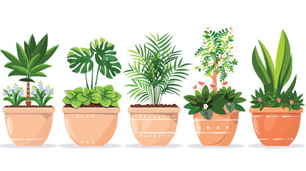 Houseplant flowers in pots Cartoon Vector style vector