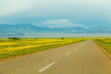 Highway in the blooming steppe.  Nature of Central Asia.