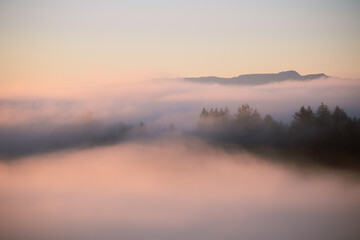 Fototapeta premium Nebelmeer mit Bergen und Tannenwald 