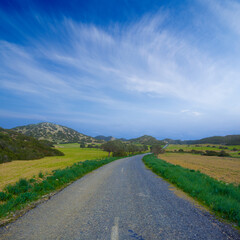 Fototapeta premium long asphalt road among green fields