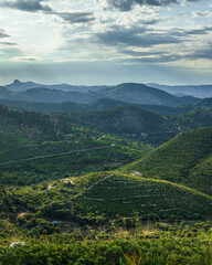 Obraz premium mountains and photography