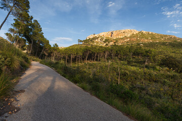 mountains and photography