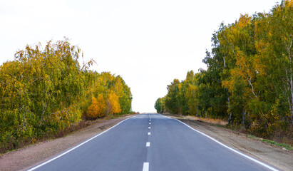 Autumn country road through colorful trees. The road in the forest. An asphalt long country road with white lines in the center, stretching far beyond the horizon.