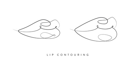 Pair of lips with contouring drawing in linear style on white background