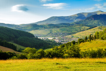 countryside area with rolling hills in carpathian mountains at sunrise. beautiful summer landscape...