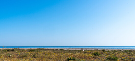 wide view of a beach with golden wildflowers and green shrubs in the foreground, leading to a calm blue sea and clear sky.