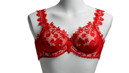 Beautiful red lace lingerie on a mannequin