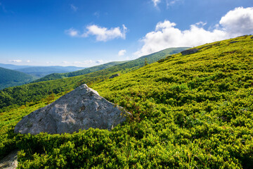 boulder on the grassy slope. carpathian mountains landscape of ukraine in summer. hillside of smooth mountain. picturesque scenery on a sunny morning beneath a blue sky with fluffy clouds
