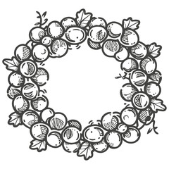 Hand drawn plants, dividers, wreaths, border frames
