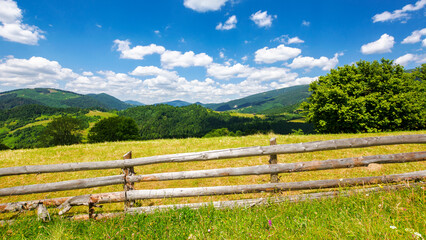 wonderful landscape of ukrainian rural area at noon in summer. wooden fence on the grassy meadow....