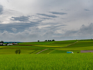 Grüne Agrarlandschaft nach vielen Regenfällen