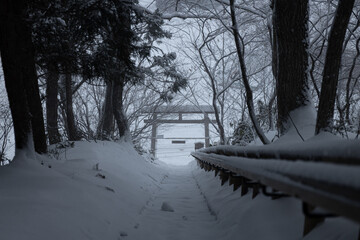 鳥居の雪景色