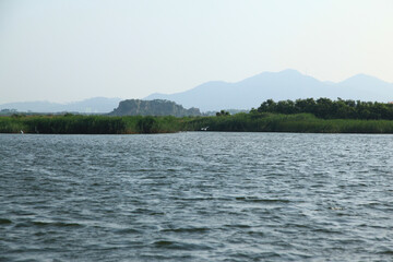 View of the lake with the grasses