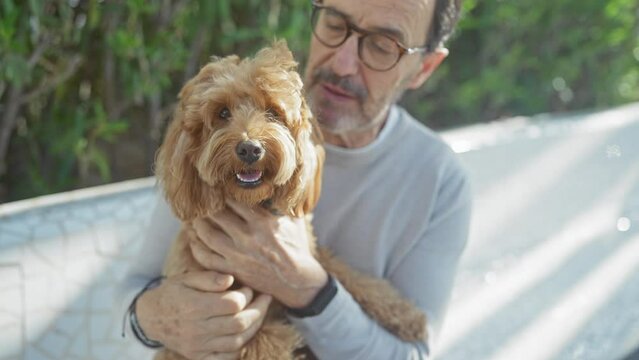 Mature man affectionately holding a happy poodle outdoors on a sunny day.