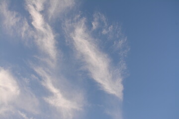 Sky and clouds from the ground