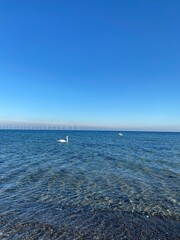 Obraz premium sea and sky