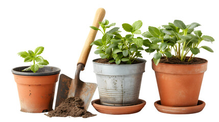 Gardening Tools with Potted Plants for Horticulture and Greenery, Isolated on White, Transparent Background, PNG File, Hand Edited Generative AI
