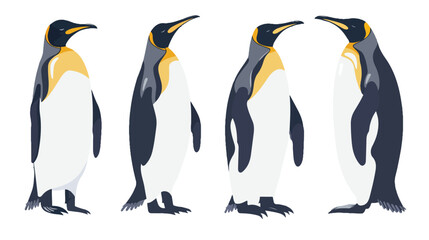 Emperor penguins Antarctic birds characters. South 