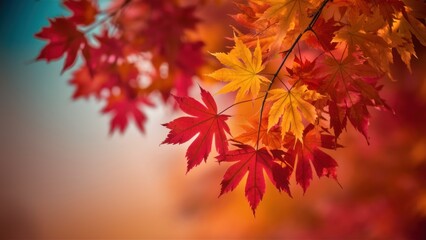 Colorful Autumn Gradient Maple Leaves Background