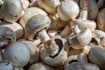 An abundance of closed cup mushrooms, for sale on a market stall