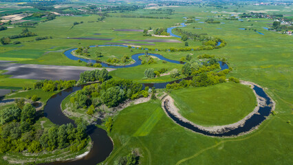 Curvy Nida river bends in Swietokrzyskie,Ponidzie region in Poland. Aerial Drone View