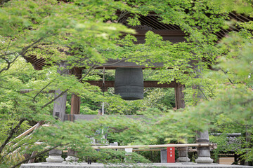 新緑と鐘