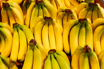 bunch of bananas on the market