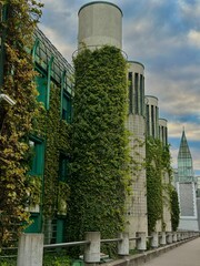 Fototapeta premium building in the city