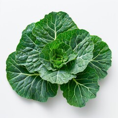 Obraz premium cabbage on a white background