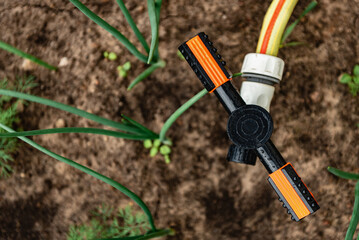 Automatic sprinkler system watering in spring garden.