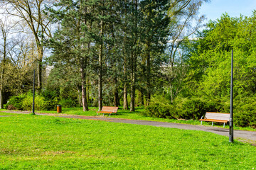 park in Chorzow on a sunny day