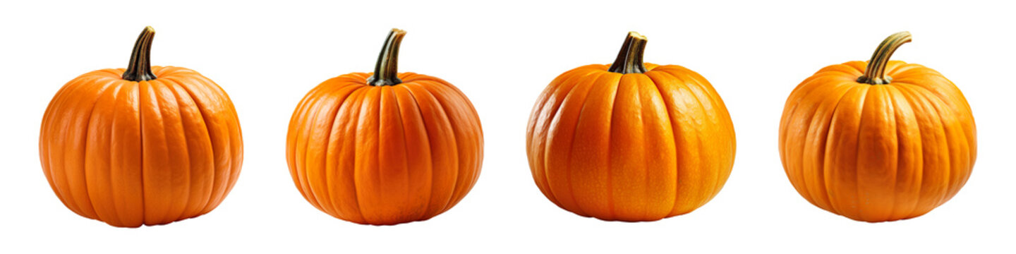 Collection set of orange pumpkins isolated on transparent background