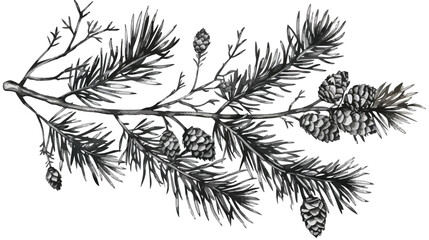 Hand drawn natural drawing of larch branch with needl