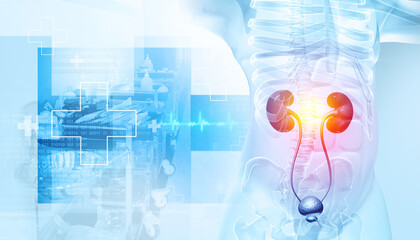 Human kidneys on scientific background, kidney disease. 3d illustration