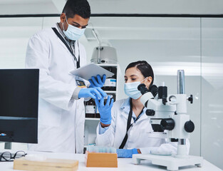 Scientist, colleague and tablet with petri dish for analysis, microscope and samples for medical testing. Biotechnology, life expansion drugs research for innovation and specialist people for science