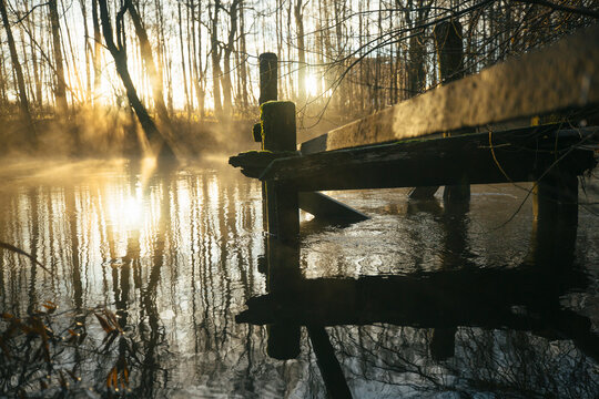 Abandoned wooden structure in river at forest