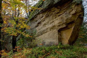 a beautiful landscape in the mountains with rock and summer forest