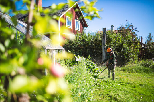Woman mowing grass in garden during sunny day