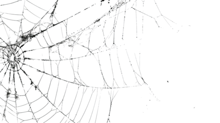A detailed spiders web intricately woven against a plain white background, showcasing its delicate patterns