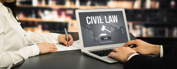 Civil law savvy information showing on laptop computer screen for Common Justice Legal Regulation...