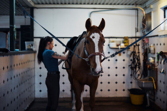 Side view of female animal trainer standing by horse at ranch