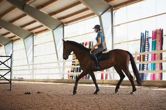 Side view of female trainer riding horse at paddock