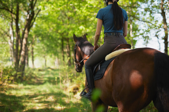 Low section of female trainer riding horse towards green trees