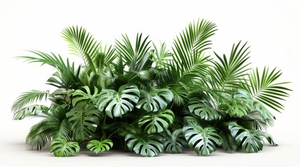 Green palm foliage cut out white background
