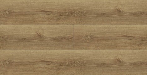 background of the land