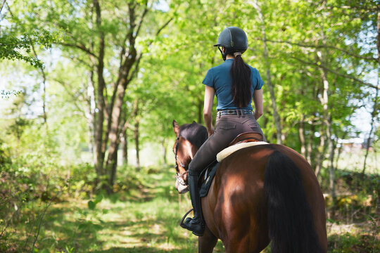 Rear view of female jockey riding horse towards green trees