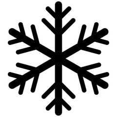 28-Snowflake Icon