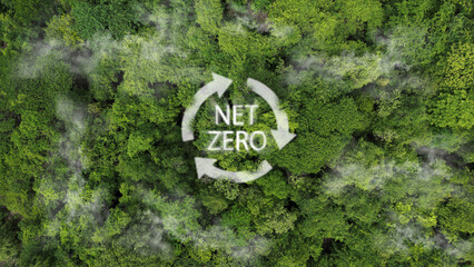 Eco ESG concept for environmental, social, sustainable and ethical issues. Net zero carbon dioxide...