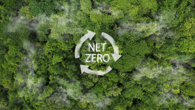 Eco ESG concept for environmental, social, sustainable and ethical issues. Net zero carbon dioxide by 2050